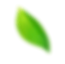 shape